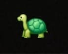 Cover Image for Tortoise In a Box